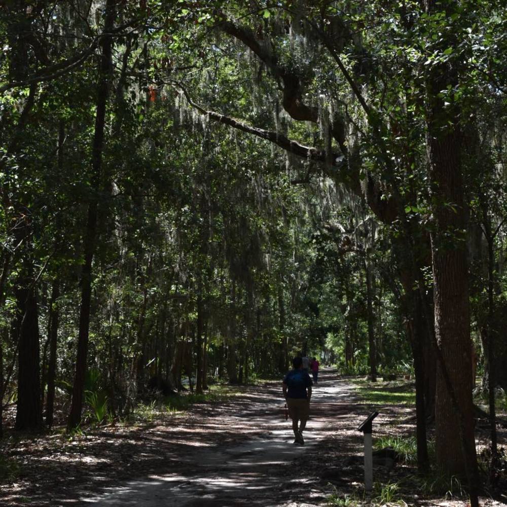 Meet your Posher, Jimmy